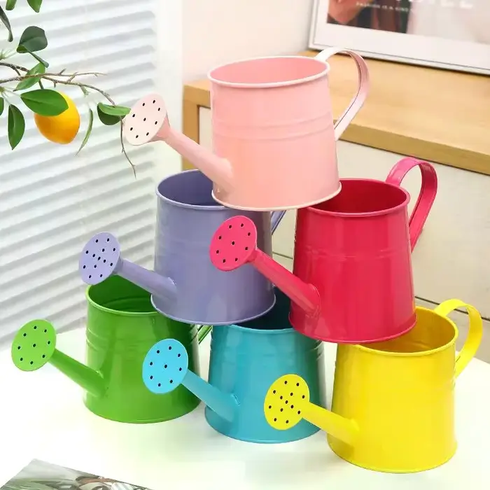 Arrosoir en métal pour jardin, mini-pulvérisateur d'eau de grande capacité pour enfants et adultes