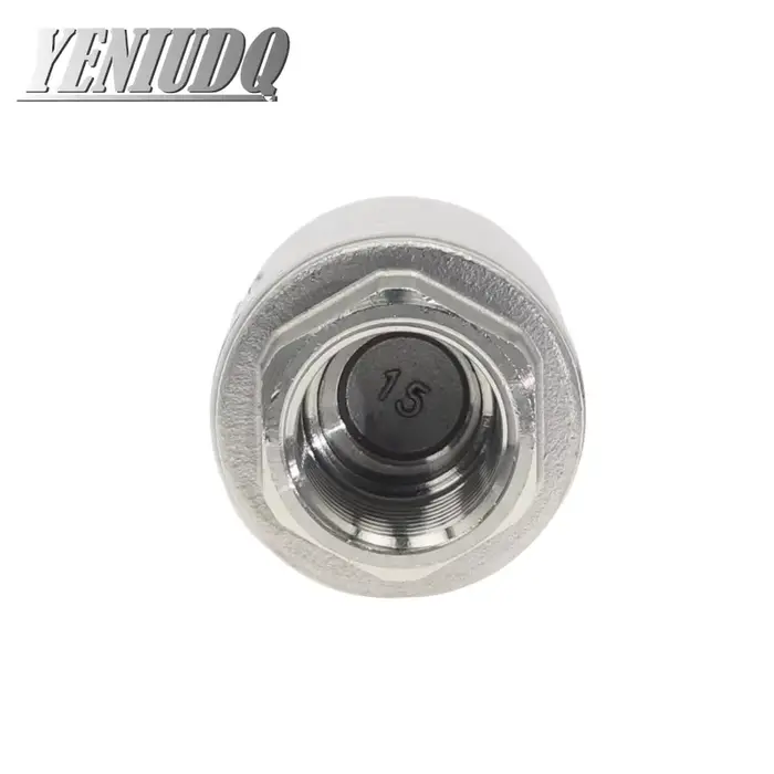 Clapet anti-retour vertical en acier inoxydable 304