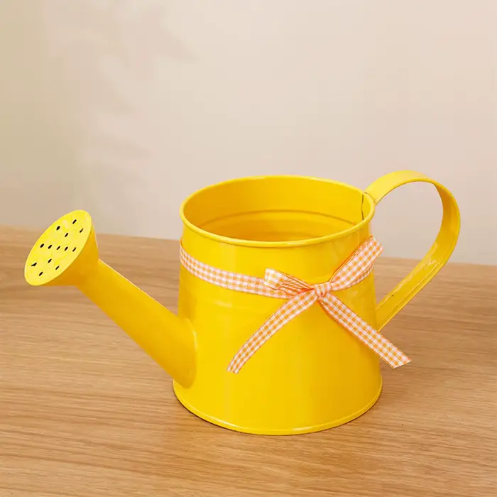 Mini arrosoir 1L en métal avec tête de pulvérisation et ruban à carreaux, design vintage pour plantes d'intérieur et extérieur, adapté pour la maison, le bureau, le balcon et le jardin