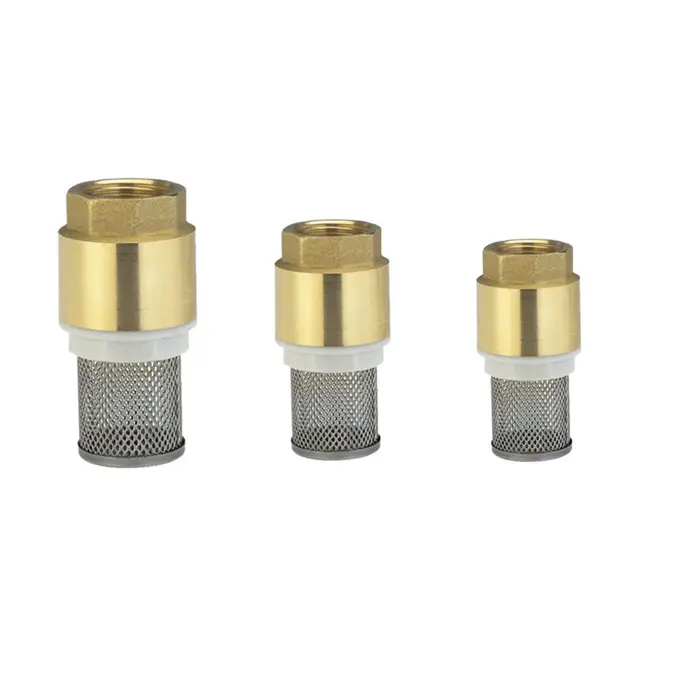Clapet anti-retour en laiton avec filtre, pompe à eau, vanne astronomique, femelle, filtre à crépine en acier pour système d'arrosage robuste et durable
