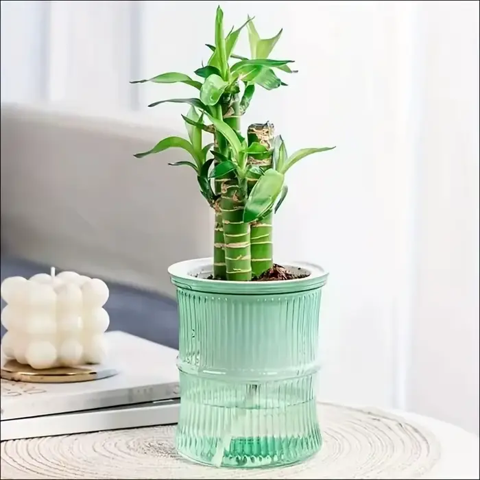 Pot de fleur hydroponique paresseux
