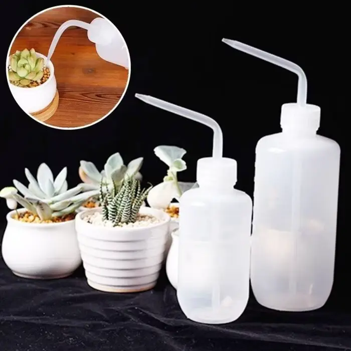 Arrosoir bonsaï pour plantes succulentes