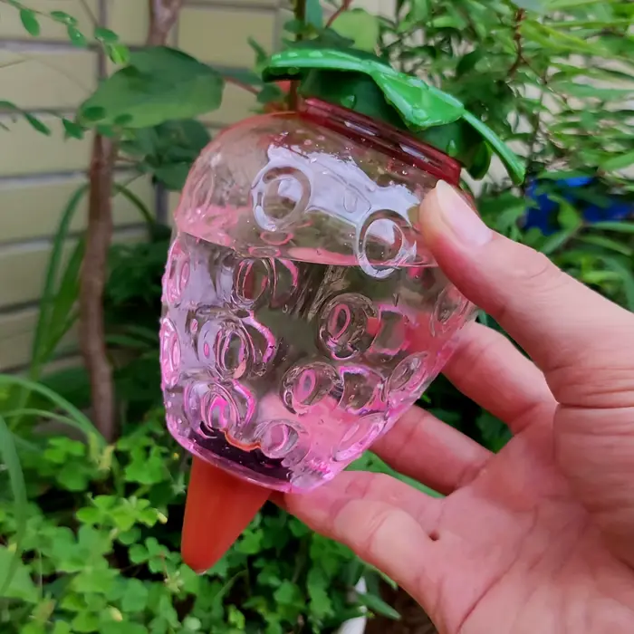 Outil d'arrosage automatique