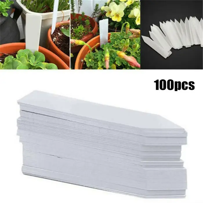 Étiquettes de plantes de jardin