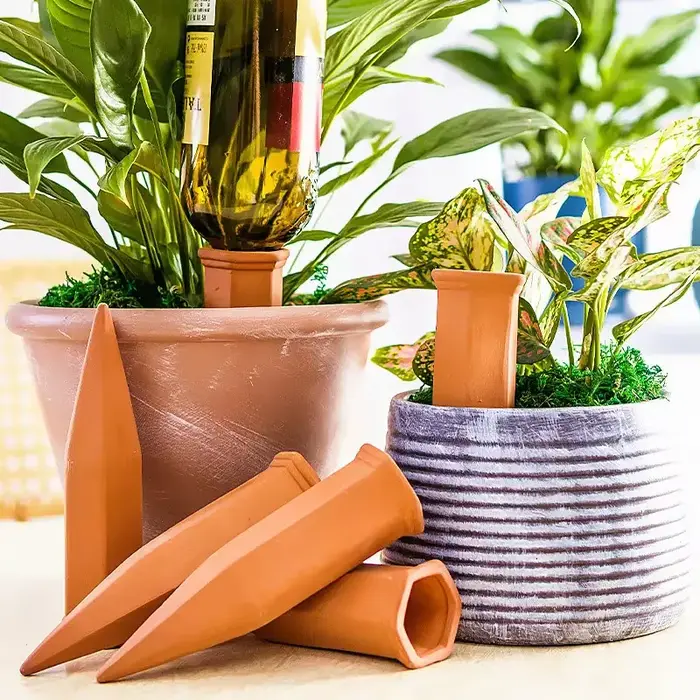 Piquets d'arrosage automatique pour plantes en terre cuite système d'irrigation intérieur/extérieur deux paquets installation facile arrosage ciblé économie d'eau programmation horaire装饰去掉最后的标题行，只保留HTML部分。