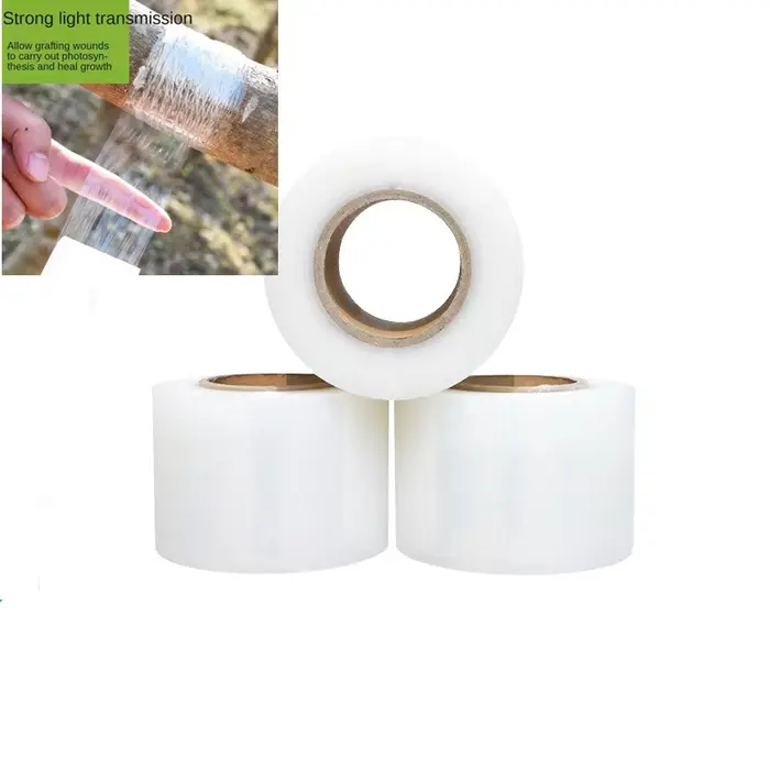 Rouleau de ruban adhésif extensible pour pépinière, auto-adhésif, nickel able, outils d'arbre blanc,