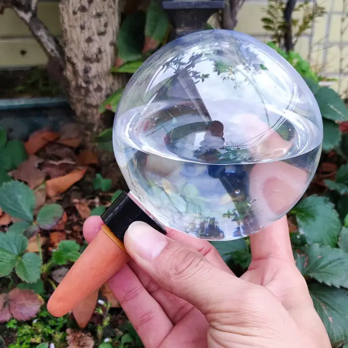 Système d'irrigation goutte à goutte automatique de 500ml