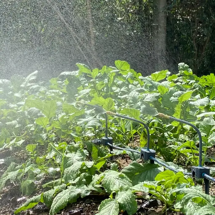 Système d'arrosage de jardin 5M-30M, pompe auto-amorçante, minuterie 360 °   Arroseur de refroidisse
