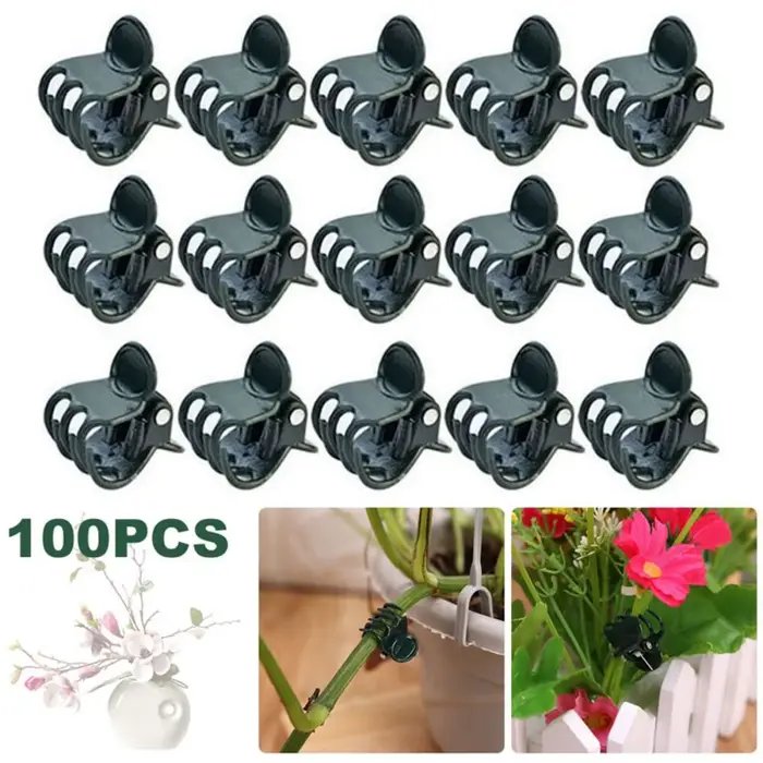 Pince de support en plastique pour plantes de jardin, orchidée papillon, fleur, fruits et légumes, t