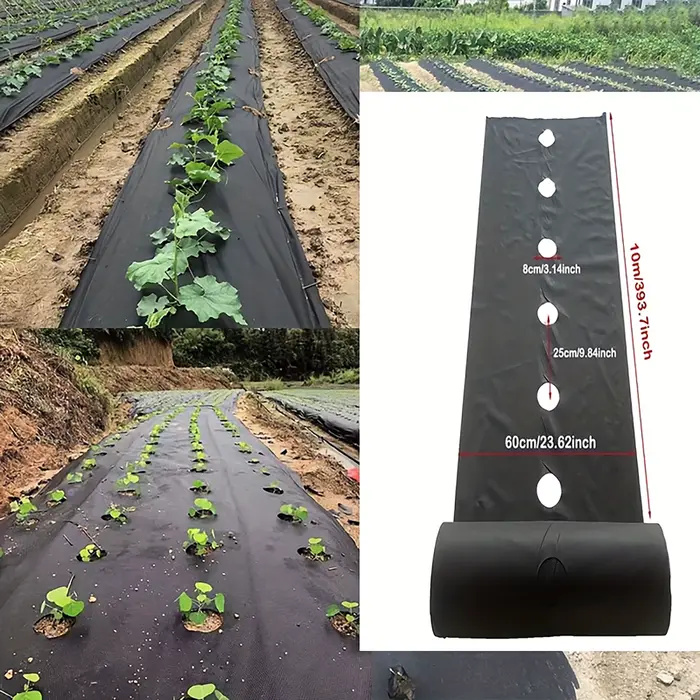 Toile de paillage noire avec trous de plantation