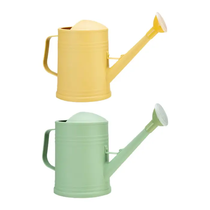 Arrosoir pour plantes avec tête d'arrosage 2 litres longue buse design élégant pour jardinage intérieur et extérieur occasions spéciales