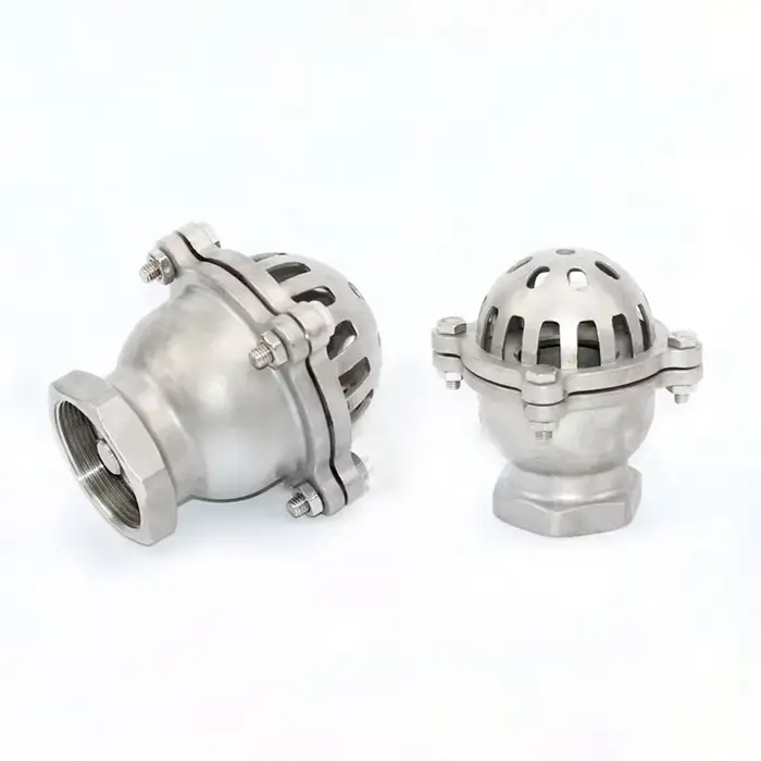 Valve de fond filetée en acier inoxydable 304 pour pompe à eau auto-amorçante clapet anti-retour occasions spéciales jardinage professionnel
