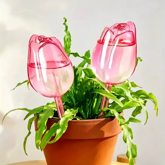 Boules d'arrosage pour plantes tulipes roses