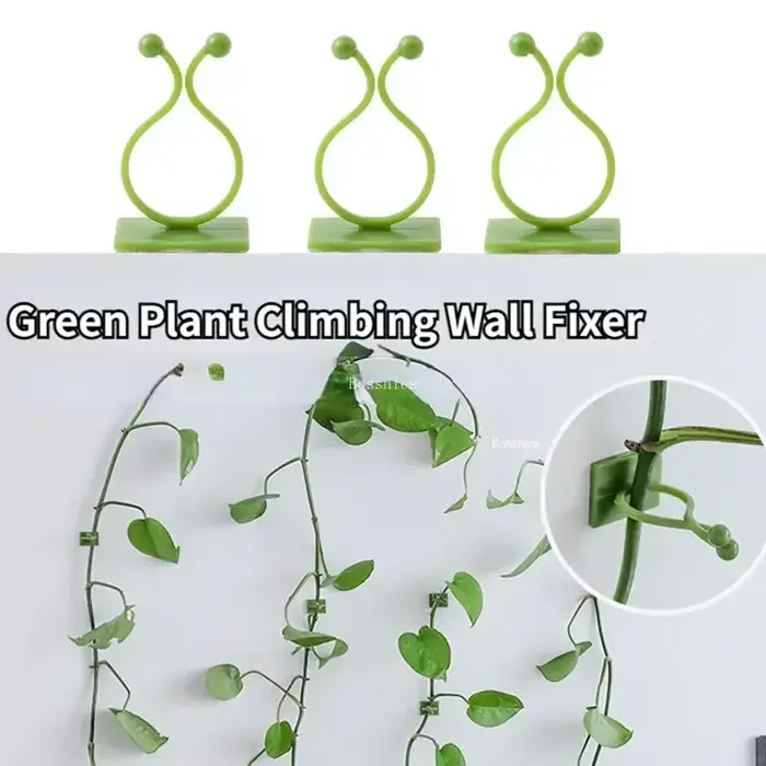 Clips muraux pour plantes grimpantes, 20 pièces, crochet à boucle de vigne, fixateur de pince en rot