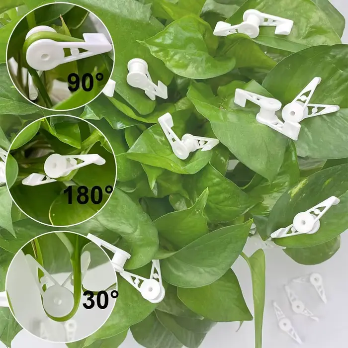 Cintreuse de plantes à 360 degrés, Supports réglables, Clip fixe pour arbres fruitiers et fleurs, fo