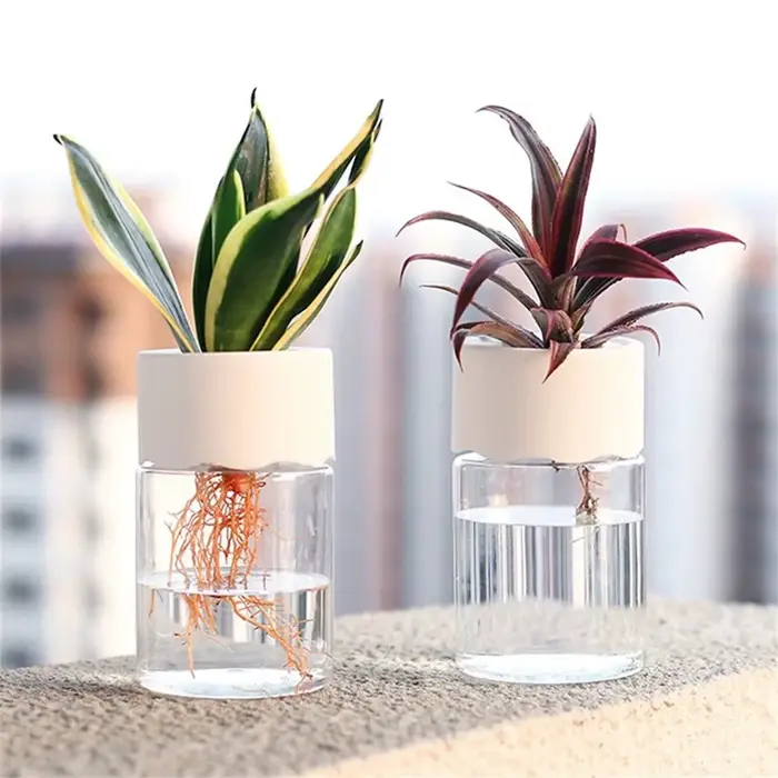 Mini Pot de fleur hydroponique, Vase décoratif de maison, Imitation verre Transparent, Pots de plant
