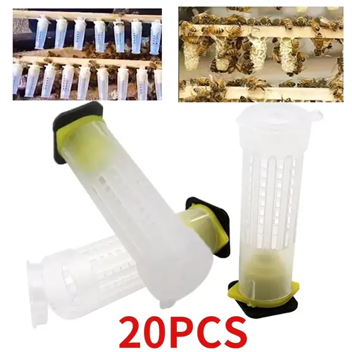 20 pièces reine cage couvercle arrière receveur reine cellules en plastique abeilles boîte cages abe