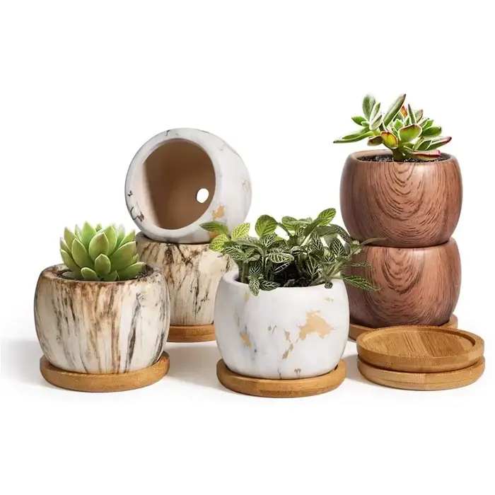 Pots de fleurs succulentes à transfert d'eau en céramique, vase d'art nordique créatif, décorations 