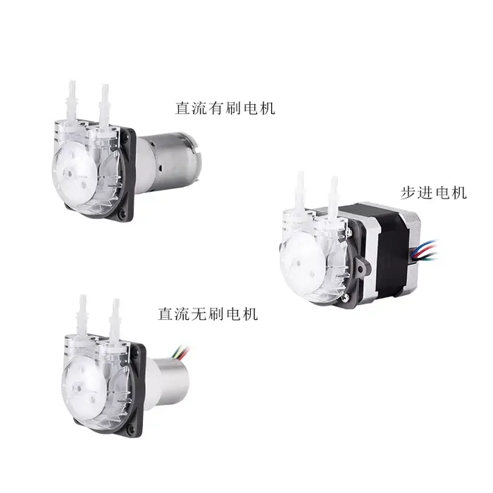 Pompe péristaltique micro PENGPU 24V avec moteur pas à pas et tube en silicone