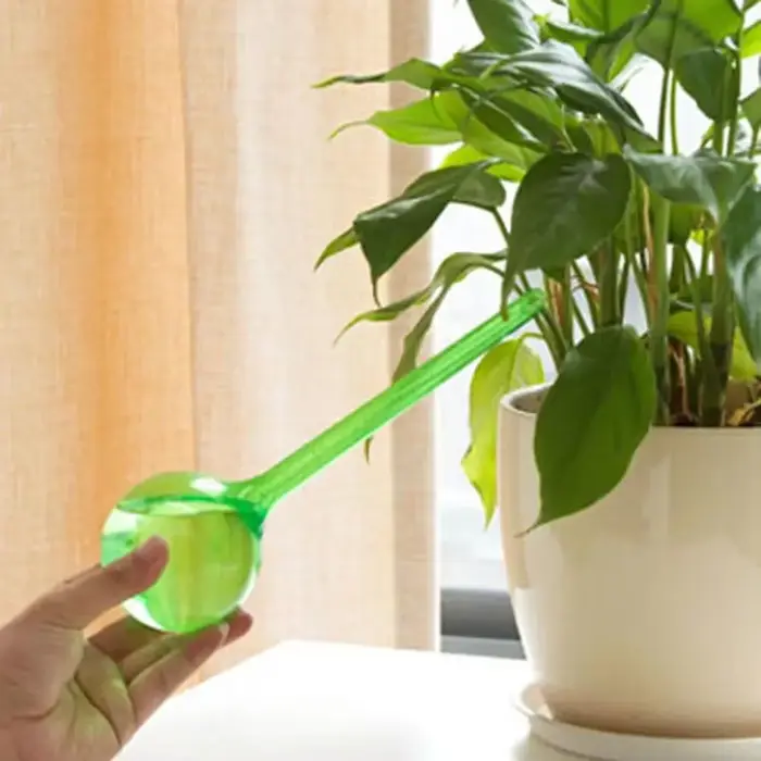 Distributeur d'eau automatique pour plantes