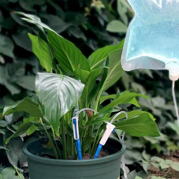 Dispositif d'arrosage automatique pour plantes