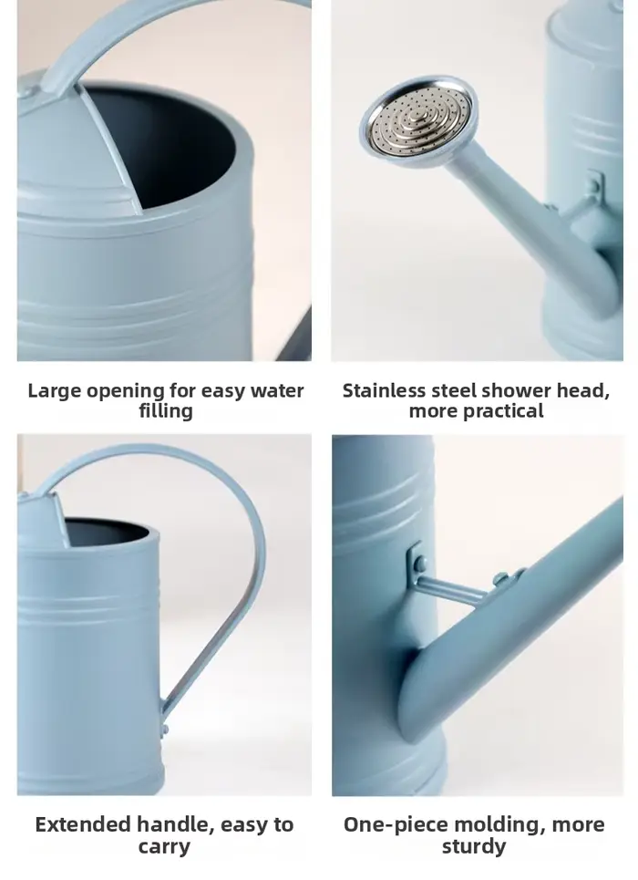 Arrosoir en métal pour plantes d'intérieur et extérieures avec tête de pulvérisation et poignée ergonomique pour un arrosage précis et confortable