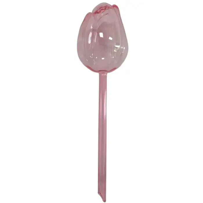 Boules d'arrosage en plastique pour plantes tulipes roses, 5 pièces, conception à sortie étroite pou