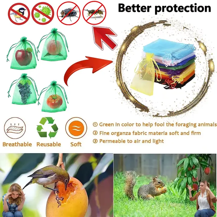 Sacs de Culture de Fruits et Légumes, Protection Contre les Oiseaux, Filet en Maille, Outils de Jard