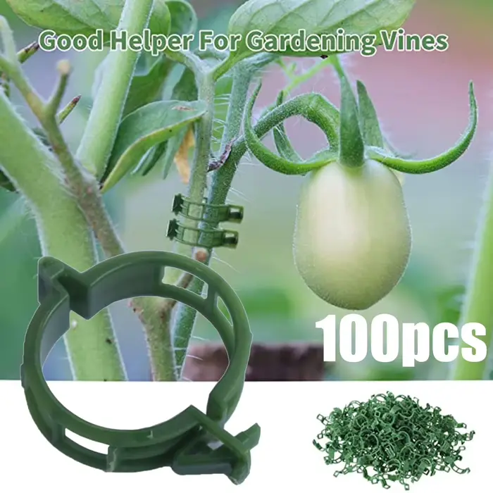 Clips de support pour plantes en plastique beige pour jardins et serres, 100 pièces pour maintenir et organiser les plantes grimpantes et légumineuses