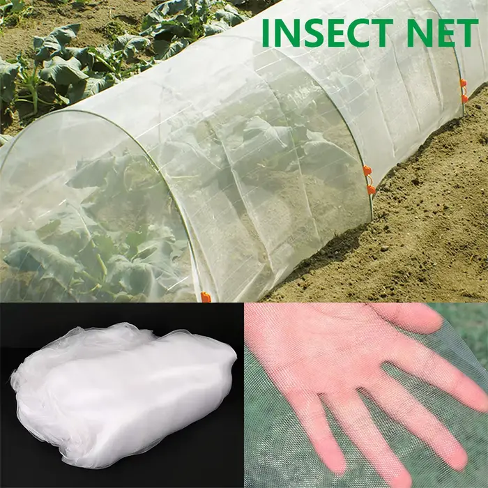 Filet de protection anti-oiseaux pour plantes