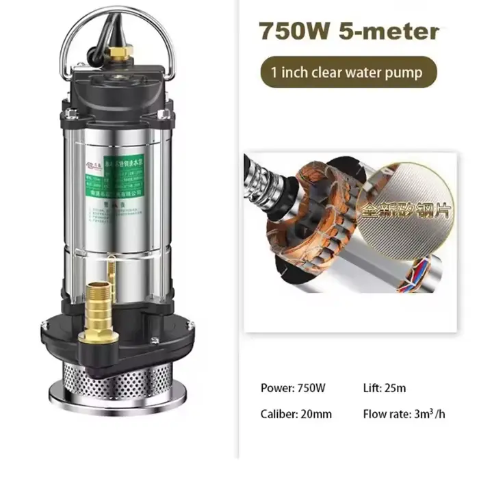 Pompe submersible 220V pour l'agriculture, outils de jardinage, en acier inoxydable, durable, pour d
