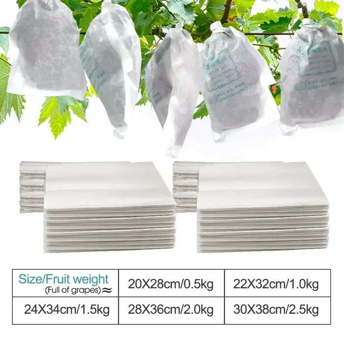 Sacs de Protection de Raisin en Papier Blanc pour Verger, Étanches aux Mites, pour la Culture de Fru