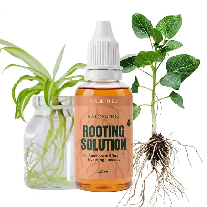 Root Drops Hormone d'enracinement liquide pour les boutures |   Gouttes de propagation rapide pour t