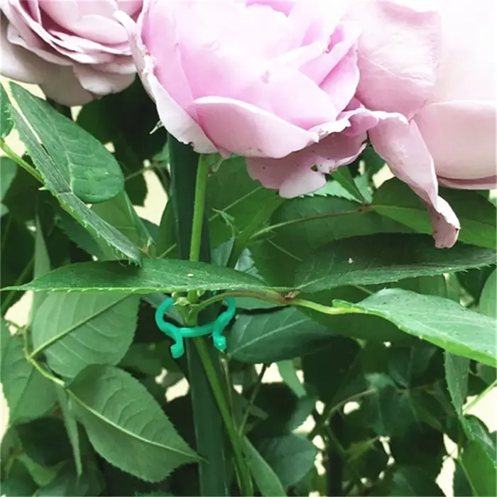 Clips pour plantes de jardin en forme de papillon vert