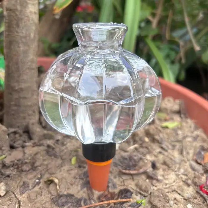 Dispositif d'arrosage automatique Transparent en forme de lanterne pour plantes en pot, Irrigation g